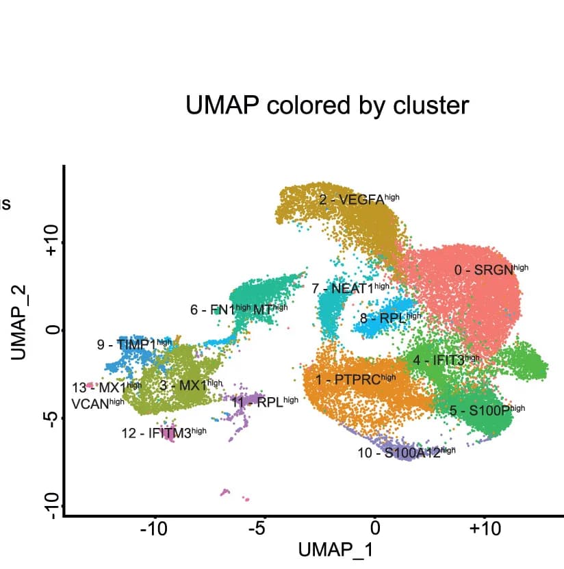 Open access visualization of UMAP, scRNA-seq, Human Thrombus, Blood, Neutrophils