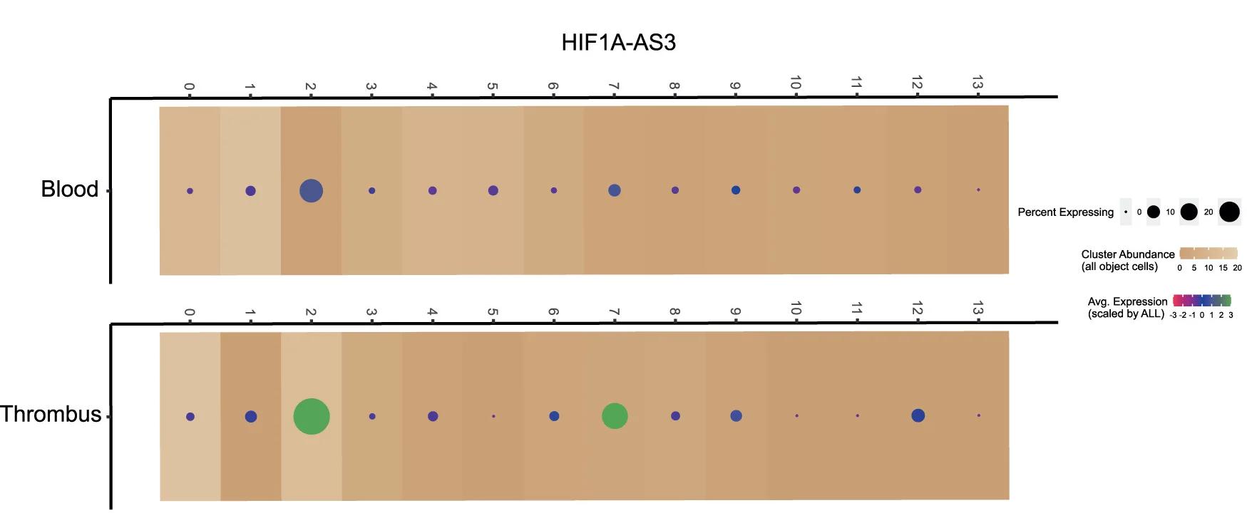 Open access visualization of Bubble Plot, Heatmap, Dotplot, HIF1A-AS3, Expression