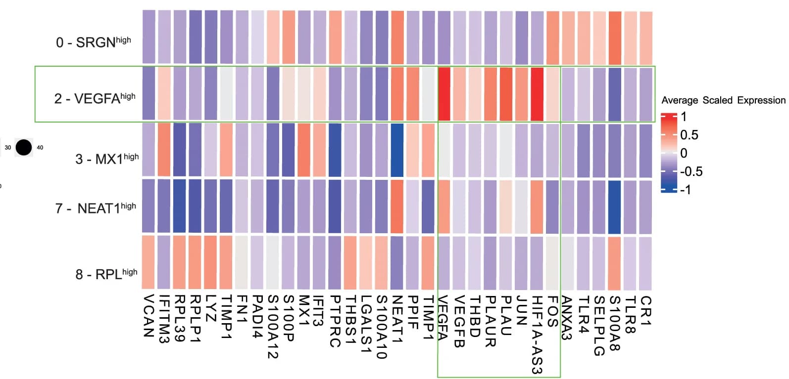 Open access visualization of Heatmap, Cluster-Defining Genes, Thrombus Clusters, Blood-Thrombus Clusters, tNeutro Cluster