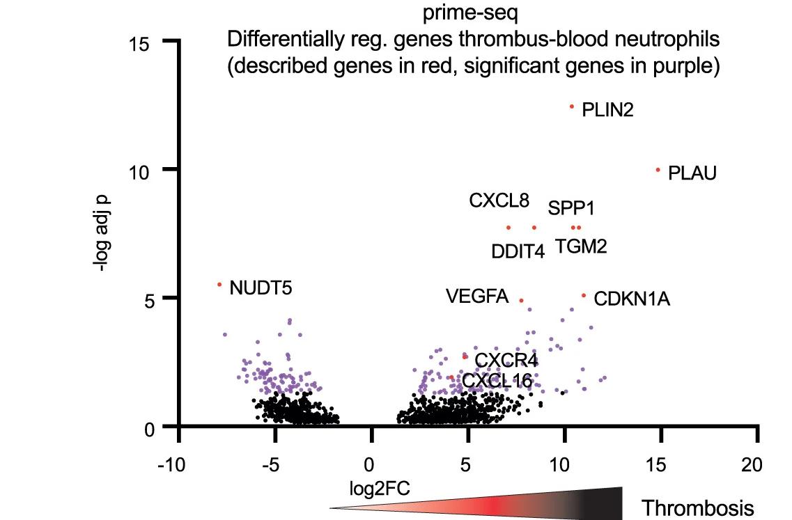 Open access visualization of Volcano Plot, Scatter Plot, Differentially Regulated Genes, Blood, tNeutros