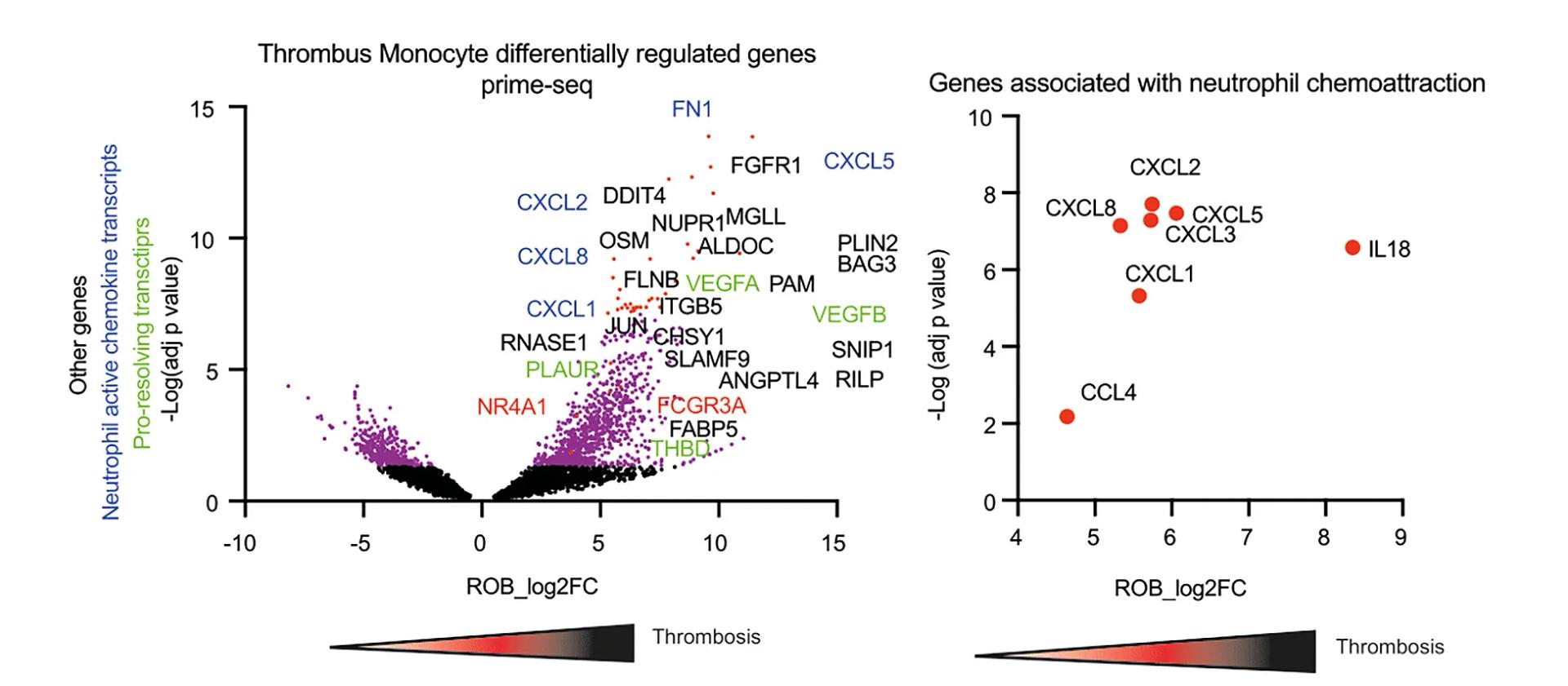Open access visualization of Volcano Plot, Scatter Plot, Differentially Regulated Genes, Blood, tMonos