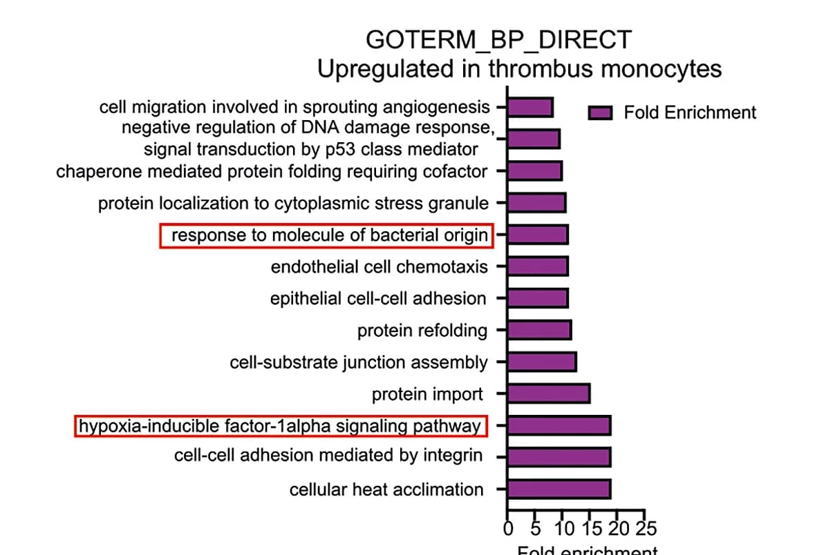 Open access visualization of Bar Plot, Goterm_BP_Direct Analysis, Genes, tMonos, Blood Monocytes