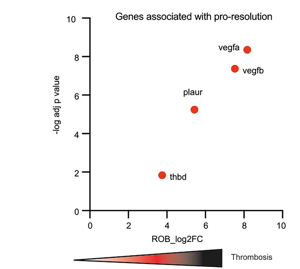 Open access visualization of Scatter Plot, Volcano Plot, Prime-seq, FACS-sorted Monocytes, Upregulated Genes