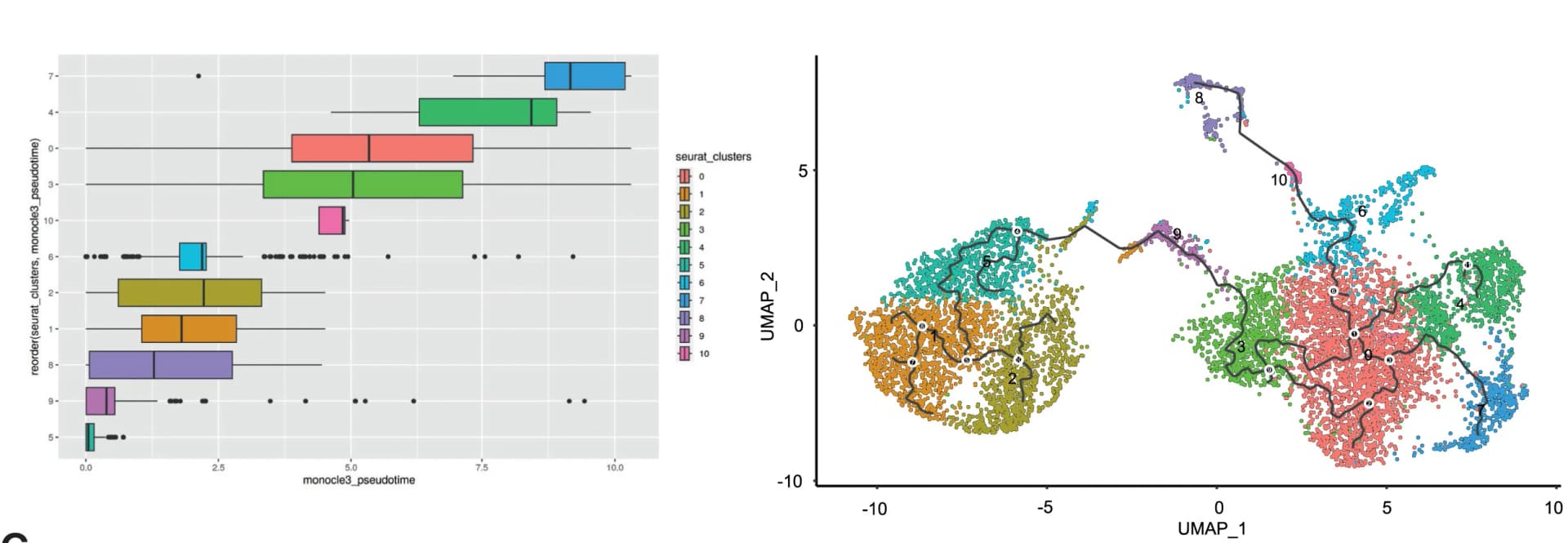 Open access visualization of UMAP, Box Plot, Cluster-wise Distribution, Pseudo-time, Pseudo-time Trajectories