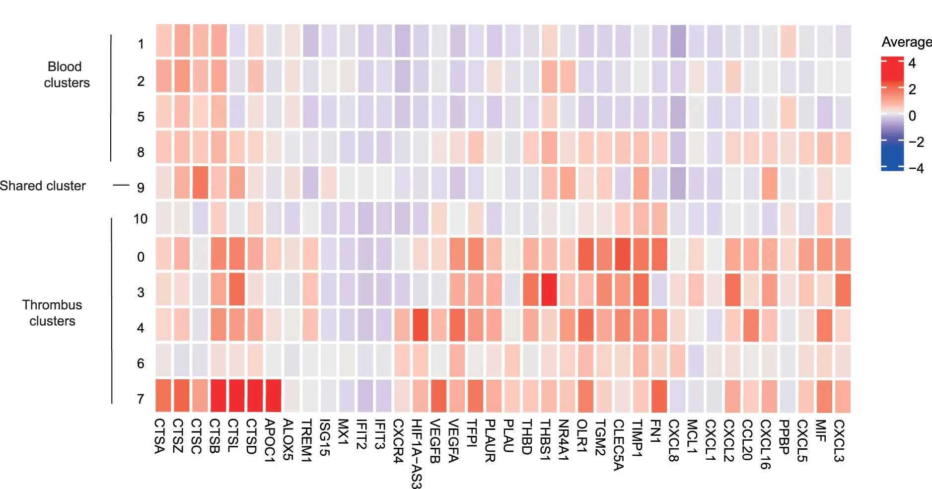Open access visualization of Heatmap, Cluster-defining Genes, Thrombus, Blood, tMono Clusters