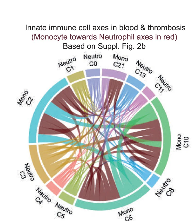 Open access visualization of Chord, Chemokine Interactome, Neutrophils, Monocytes, scRNA-seq Data