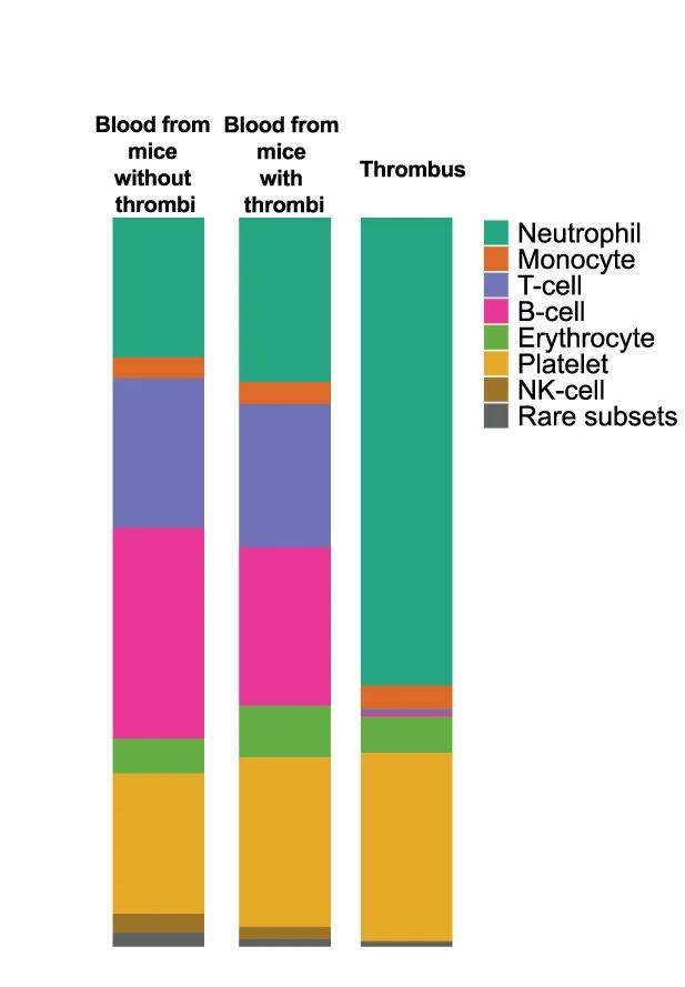 Open access visualization of Stacked Bar Plot, Cluster Frequencies, Thrombi, Blood, Mice