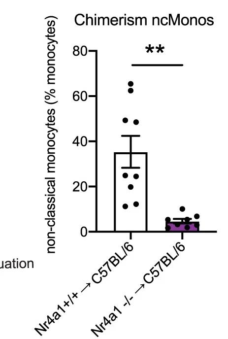 Open access visualization of Bar Plot, Error Bars, Scatter Plot, Chimerism Analysis, Nr4a1-/- Mice