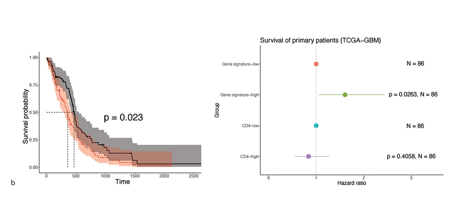 Open access visualization of Survival Curve, Forest Plot, Error Bars, Kaplan-Meier Curves, Forest Plots