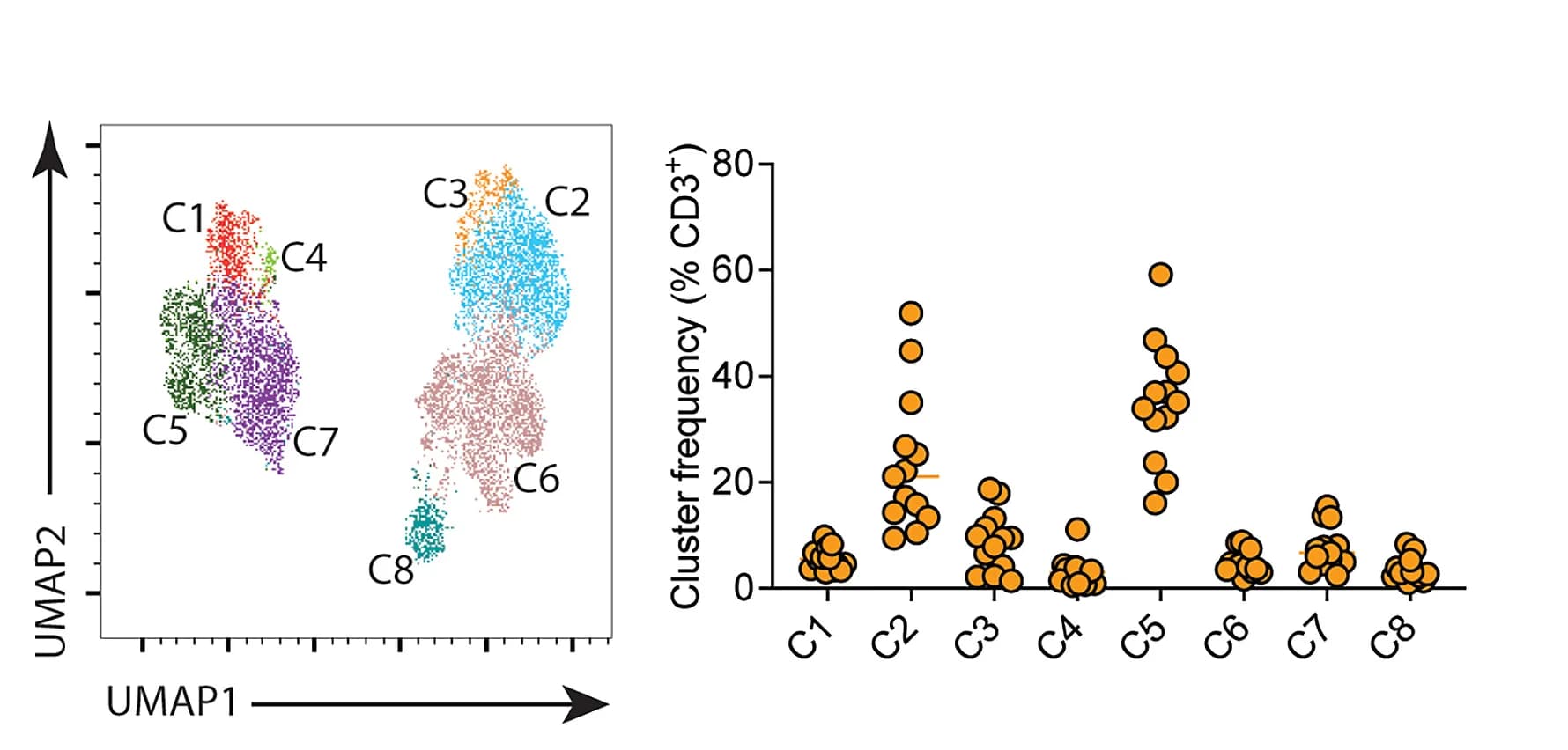Open access visualization of UMAP, Scatter Plot, Heatmap, T Cell Subpopulations, UMAP Plot
