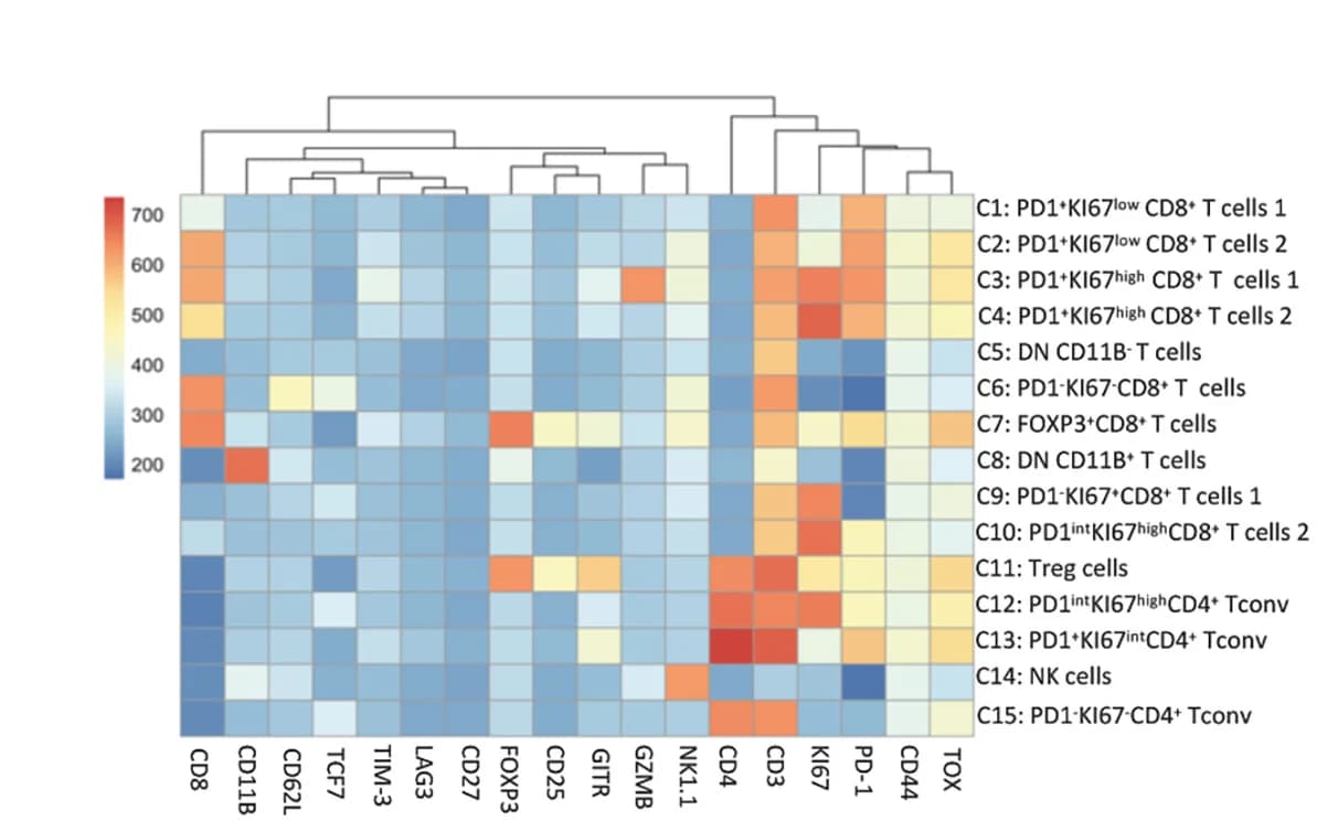 Open access visualization of Heatmap, Clustered, Marker Expression, Lymphoid Cells, FlowSom Clustering