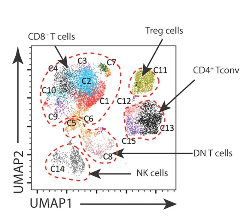 Open access visualization of Scatter Plot, UMAP, Dimension Reduction, Lymphoid Cells