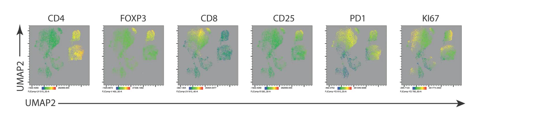 Open access visualization of UMAP, T Cell Markers, CD4, FOXP3, CD8
