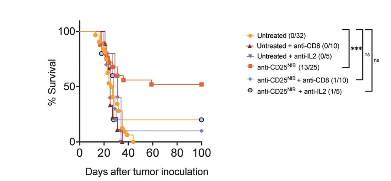 Open access visualization of Survival Curve, Line Step, Kaplan-Meier Survival Curve, Survival, Anti-CD25NIB Treatment