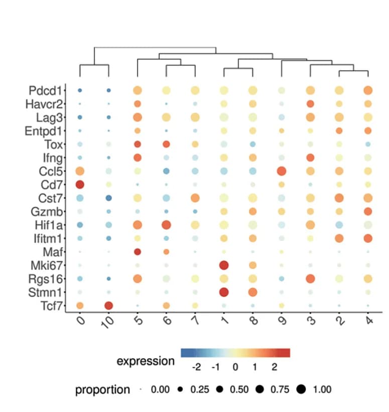 Open access visualization of Bubble Plot, Clustered, Cluster-defining Genes, GBM-infiltrating CD8+T Cells
