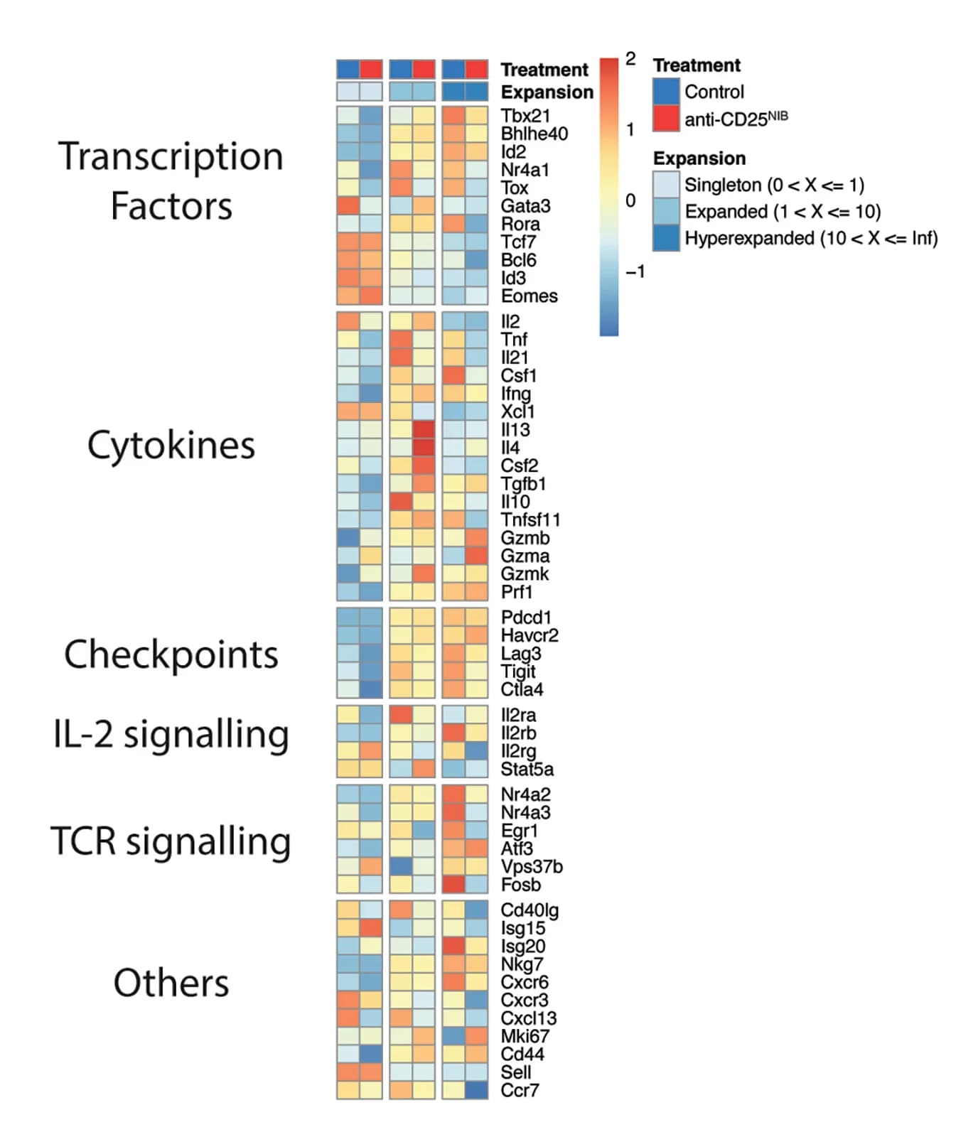 Open access visualization of Heatmap, Gene Modules, Singletons, Expanded CD8+T Cells, Hyperexpanded CD8+T Cells