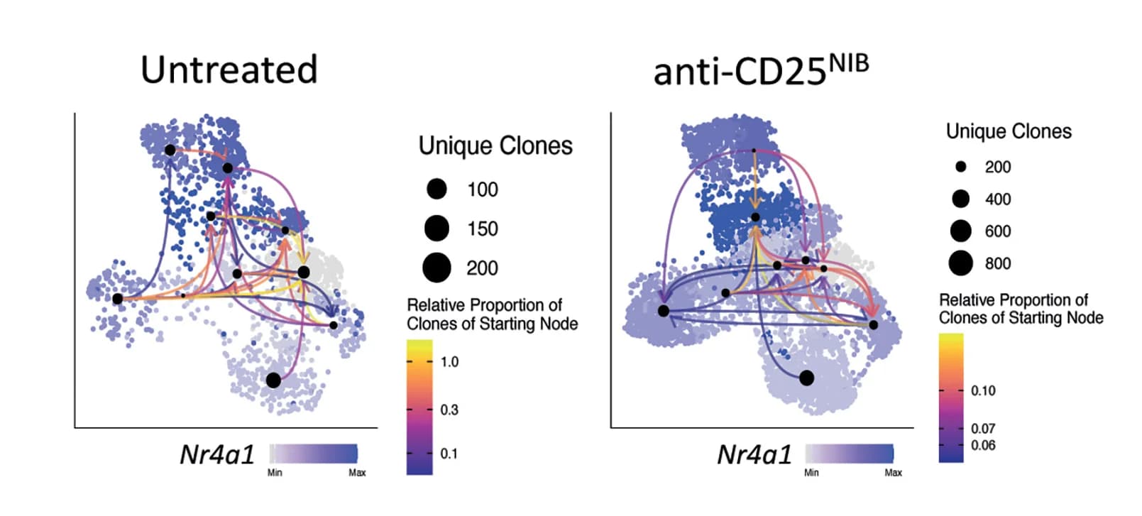 Open access visualization of Scatter Plot, Network, Bubble Plot, Clonal Interaction Nodes, TCR Sharing