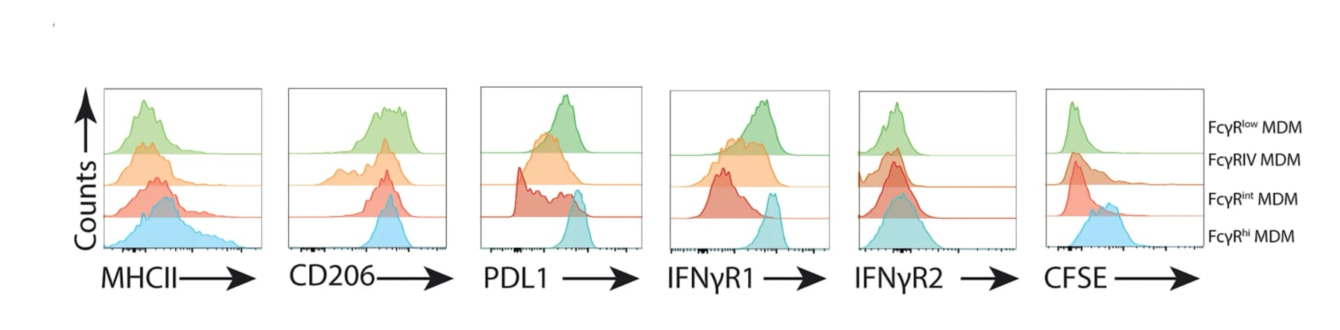 Open access visualization of Density Plot, Ridge Plot, Histograms, MDM Activity, Markers