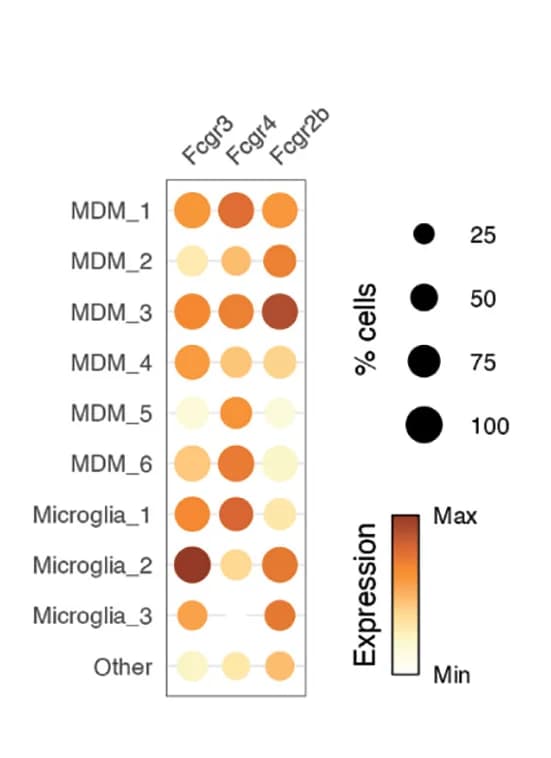 Open access visualization of Bubble Plot, Heatmap, Low-Affinity Fcgrs, Microglia, MDM Clusters