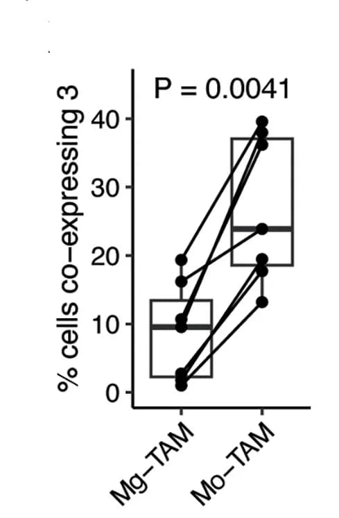 Open access visualization of Box Plot, Scatter Plot, Line Plot, Human Low-Affinity FCGR Genes, FCGR2A