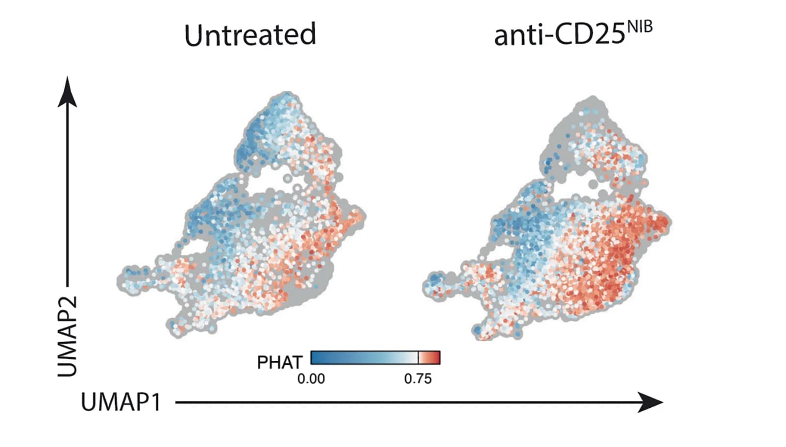 Open access visualization of UMAP, Scatter Plot, UMAP Plots, PHAT Signature, Innate Immune Cell Clusters