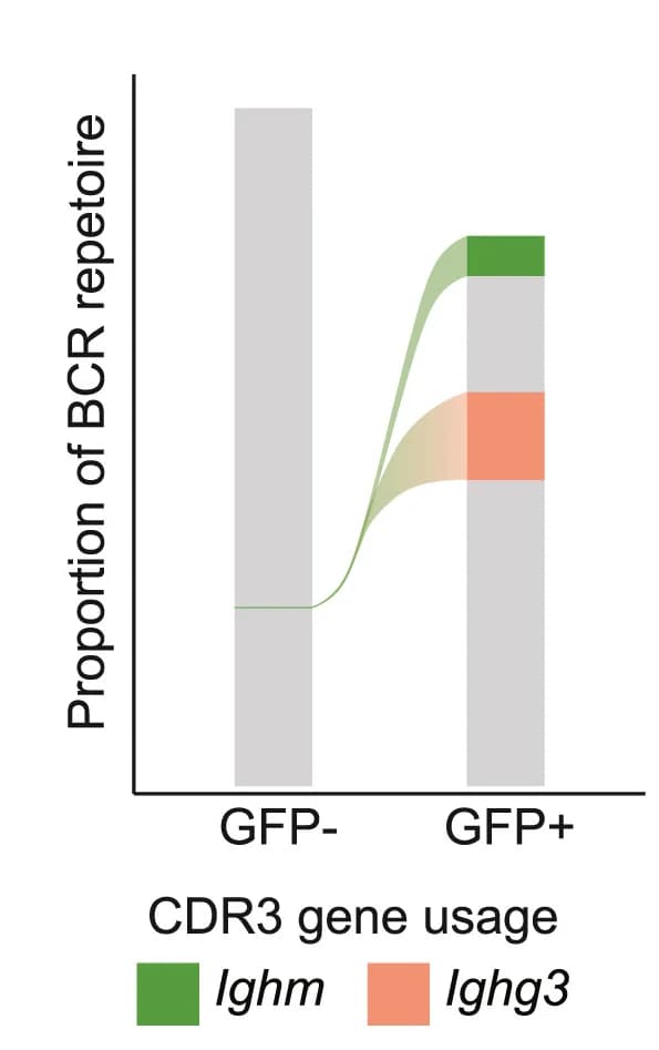 Open access visualization of Bar Plot, Stacked Bar Plot, Line Plot, Alluvial Plot, IghmCDR3 Sequence
