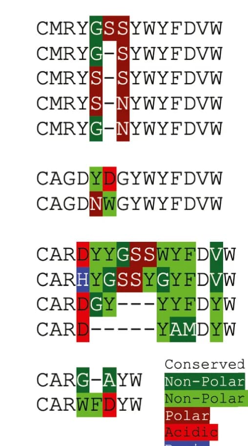 Open access visualization of Illustration, Amino Acid Sequences, CDR3 Regions, B Cell Receptors, ChAT GFP Positive B Cells