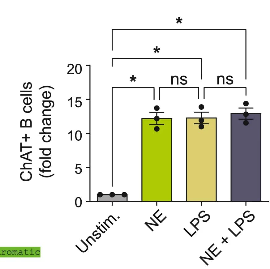 Open access visualization of Bar Plot, Error Bars, Quantitation, Fold Change, ChAT Positive B Cells