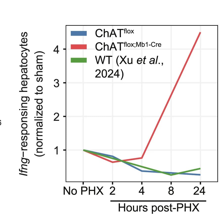 Open access visualization of Line Plot, Hepatocytes, Livers, Mice