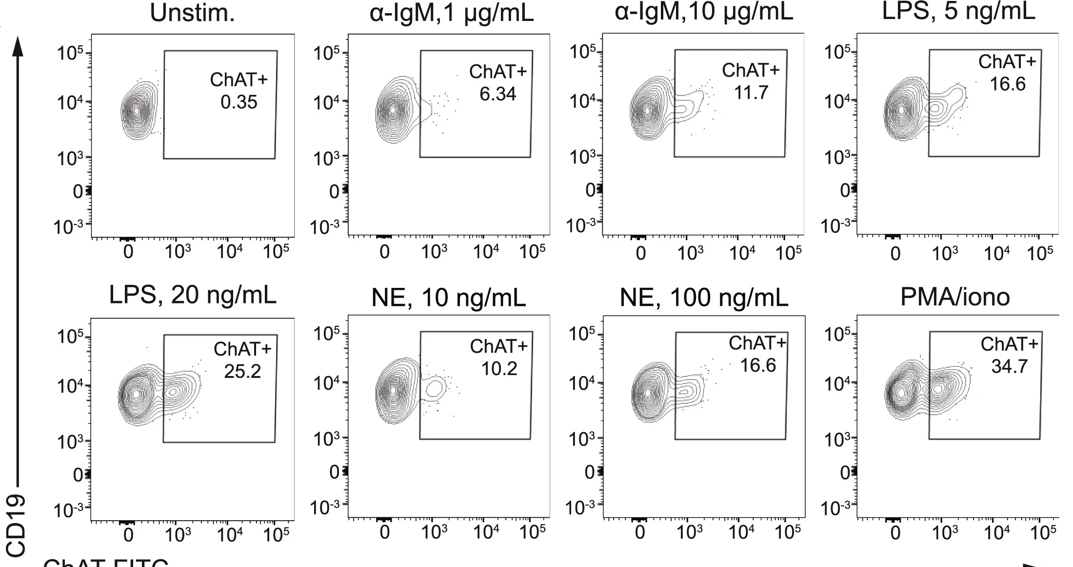 Open access visualization of Scatter Plot, Flow Cytometry, ChAT expression, B Cells, Human PBMCs