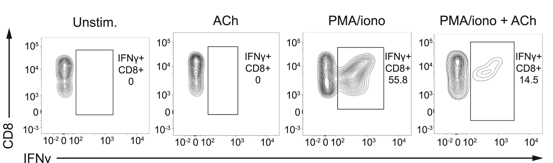 Open access visualization of Scatter Plot, Flow Cytometry, IFNγ+CD8+T Cells, Human PBMCs, ACh