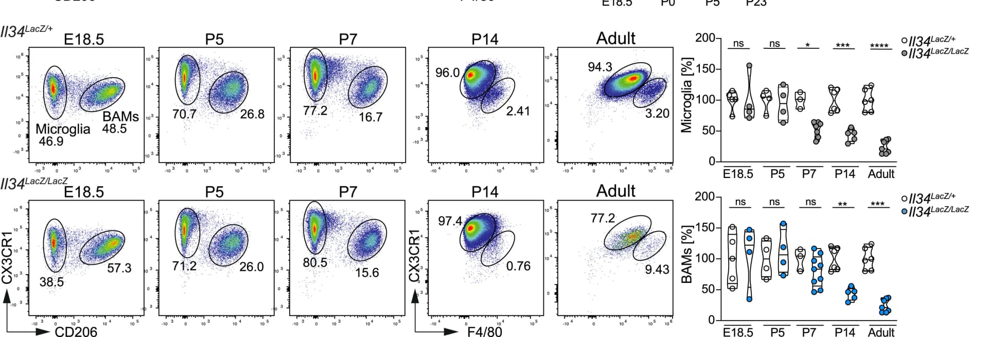 Open access visualization of Scatter Plot, Violin Plot, Brain Macrophages, Flow Cytometry, FACS