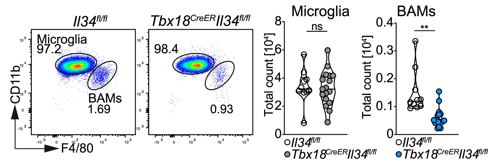Open access visualization of Scatter Plot, Violin Plot, FACS Plots, Cell Counts, BAMs