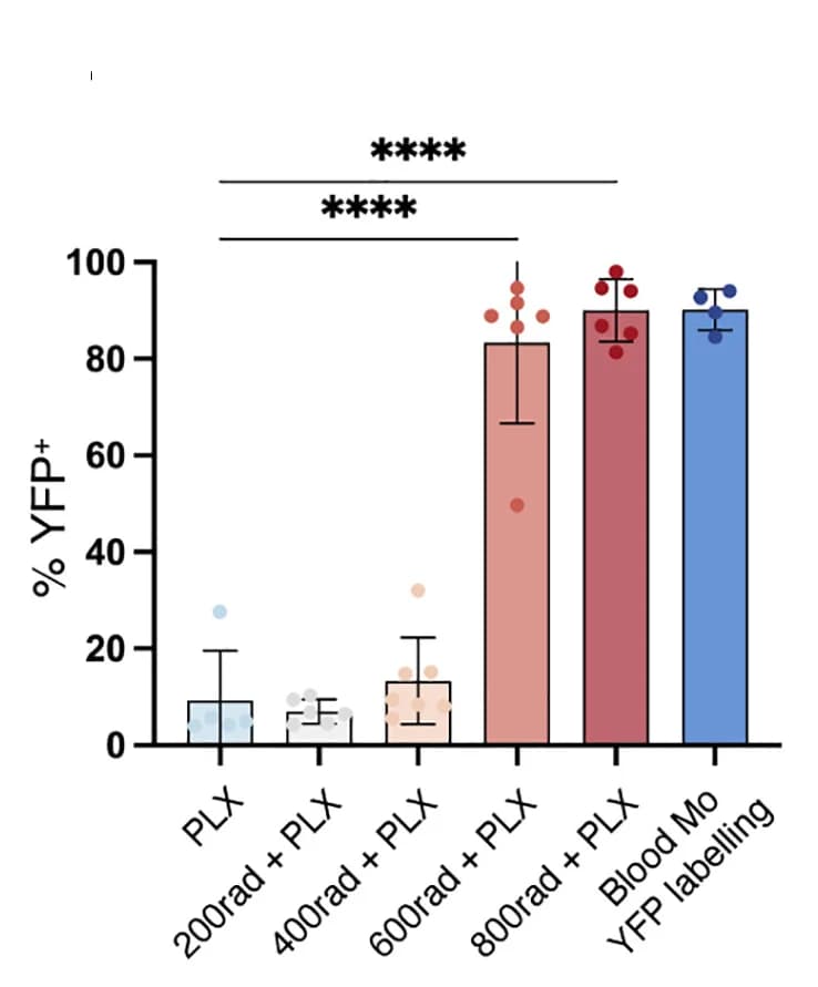 Open access visualization of Bar Plot, Error Bars, Flow Cytometry, YFP+Cells, CD11b+CD45+CX3CR1+F4/80+Cells