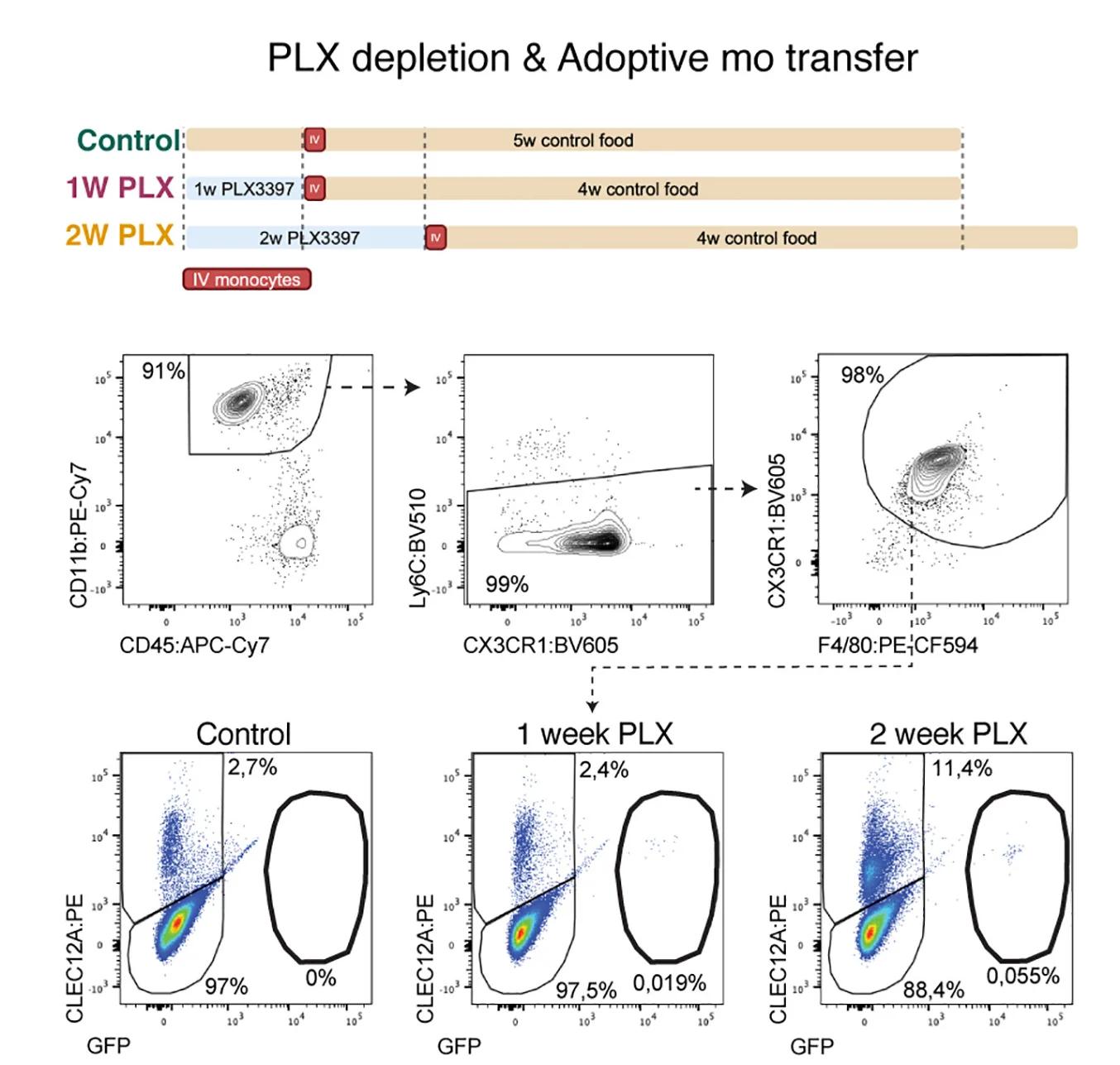 Open access visualization of Scatter Plot, C57BL/6 Mice, PLX3397 Chow, Cx3cr1GFP/+Monocytes, Adoptive Transfer