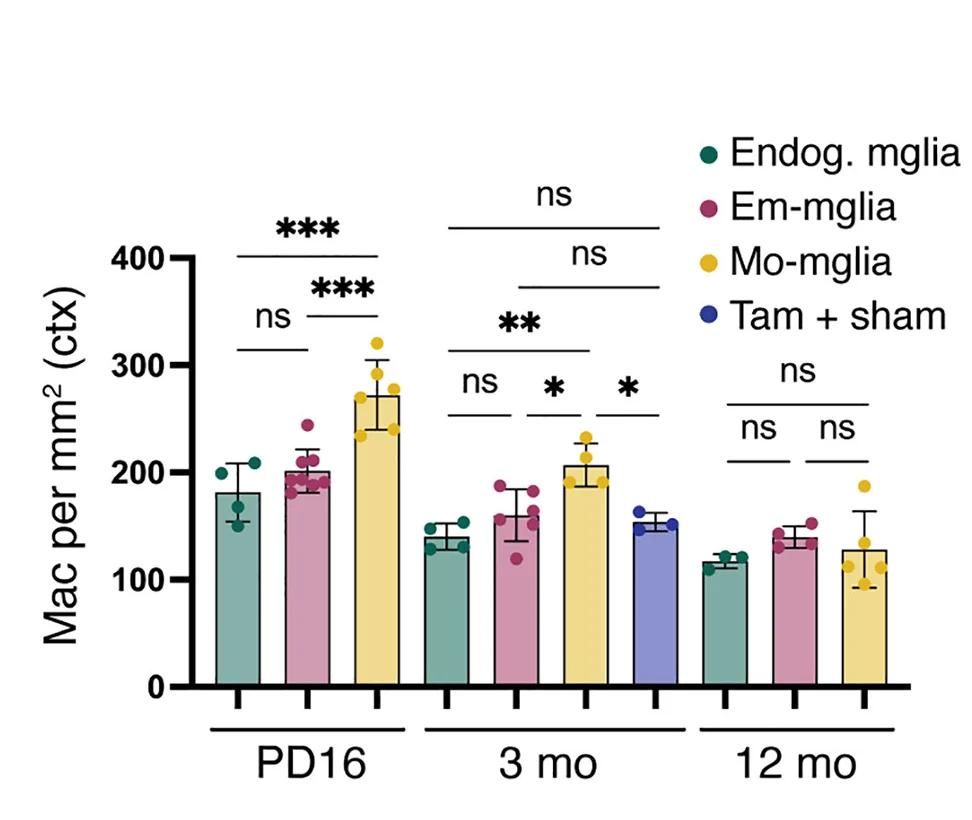 Open access visualization of Bar Plot, Error Bars, Cortical Macrophage Density, Endogenous Mglia, Em-Mglia