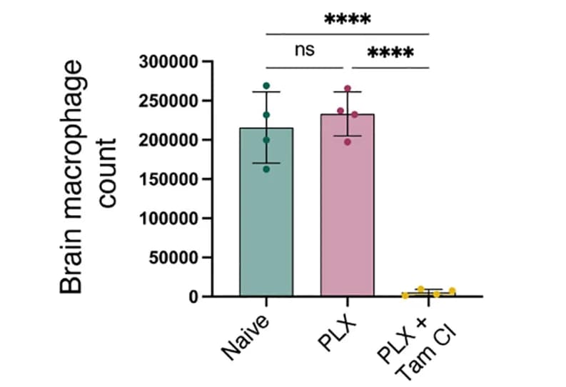 Open access visualization of Bar Plot, Error Bars, Brain Macrophages, Cx3cr1CreER:Csf1rfl/fl Mice, PLX Treatment
