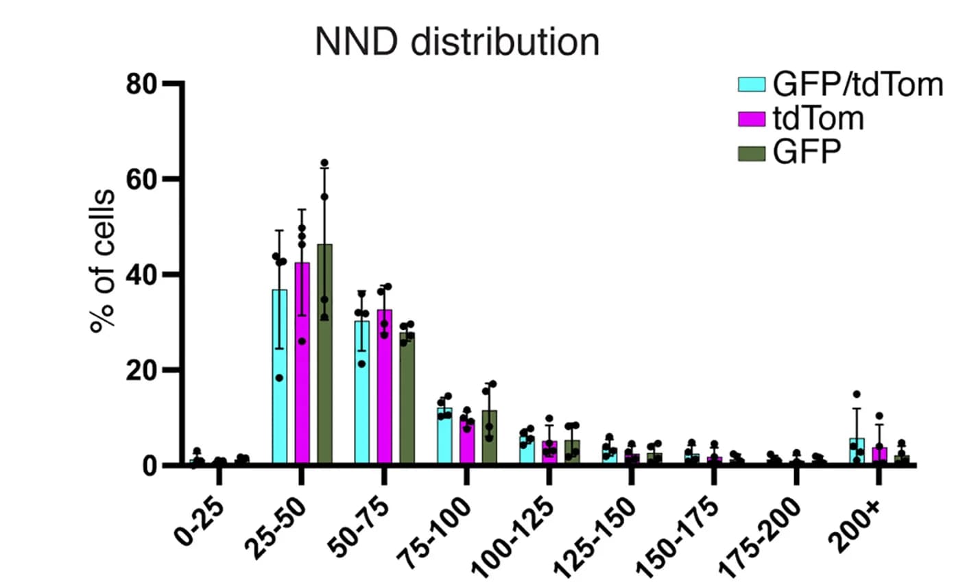 Open access visualization of Clustered, Error Bars, Mo-Mglia, Nearest Neighbor Distance, PLX + TamCI