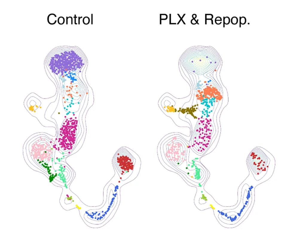 Open access visualization of Scatter Plot, Density Plot, UMAP Plot, Control, PLX&Repop