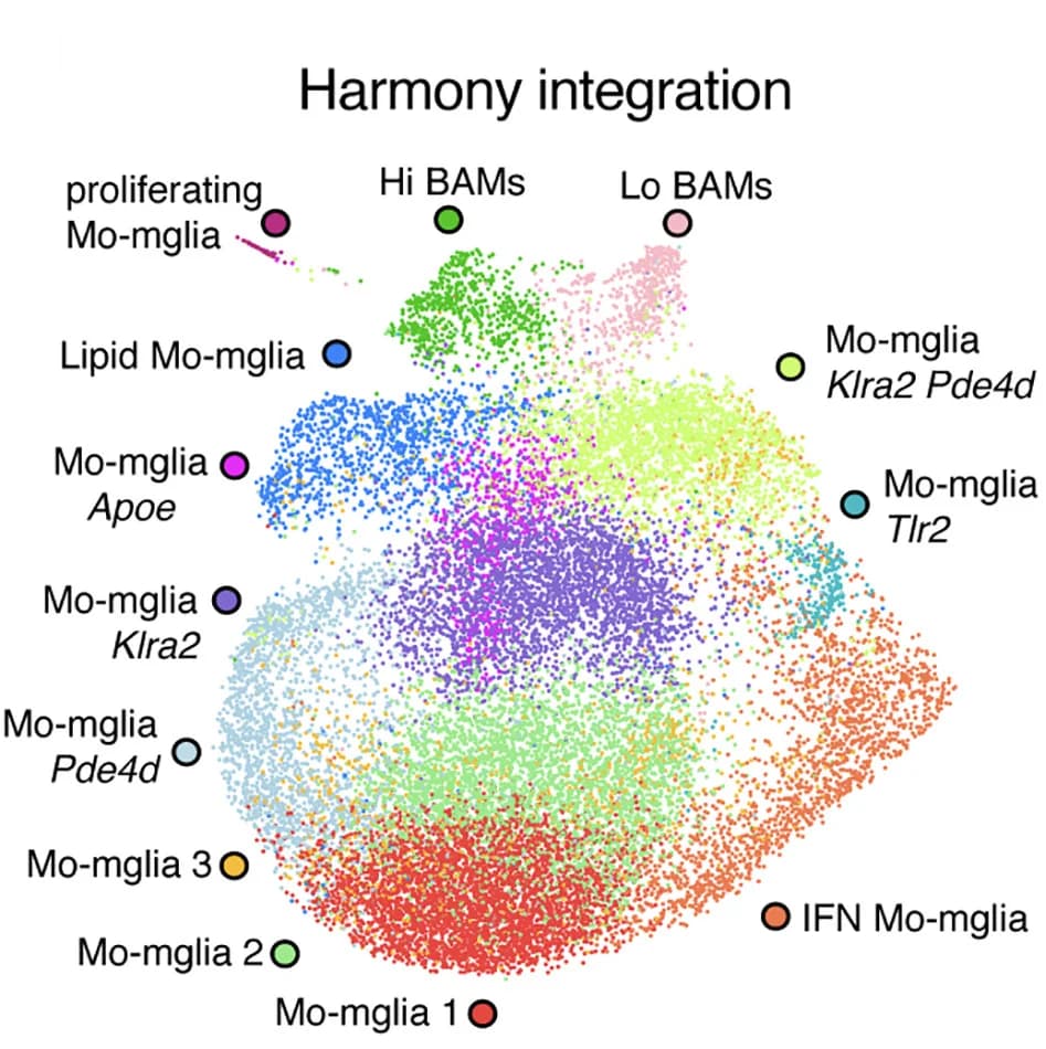 Open access visualization of Scatter Plot, UMAP, PCA, Harmony-reclustered, Brain Macrophages