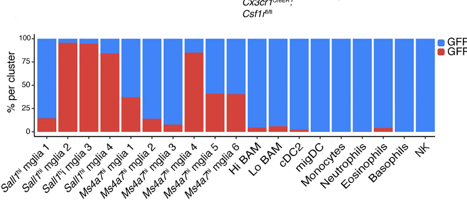 Open access visualization of Stacked Bar Plot, Cell Percentage, GFP+ Cells, GFP- Cells, Clusters