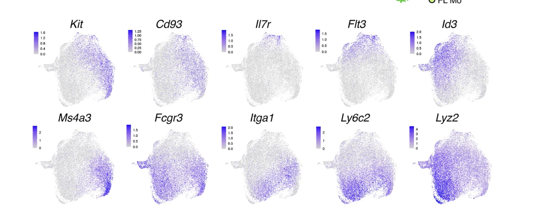 Open access visualization of Scatter Plot, UMAP, UMAPs, Gene Expression