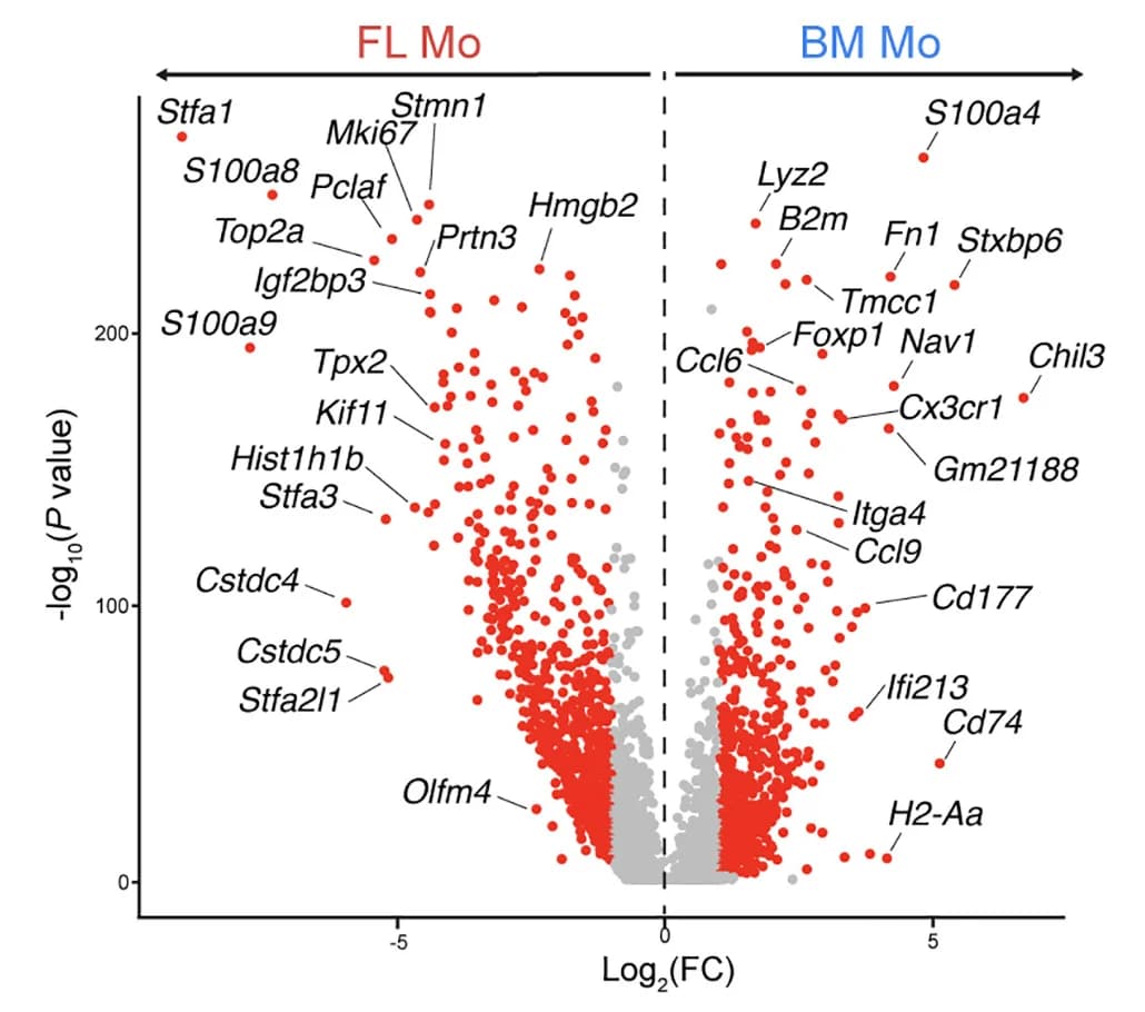 Open access visualization of Volcano Plot, Scatter Plot, Differentially Expressed Genes, Monocytes, Gene Clusters