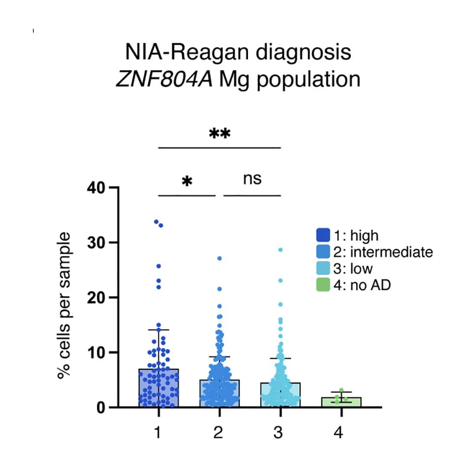 Open access visualization of Scatter Plot, Error Bars, ZNF804AMg, Cluster Abundance, NIA-Reagan Diagnosis