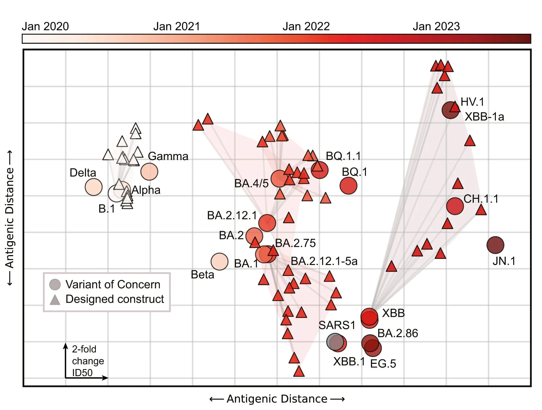 Open access visualization of Scatter Plot, Antigenic Cartography, Neutralization, Variants, Designed Constructs