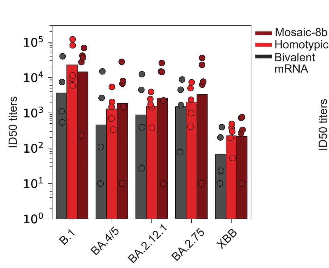 Open access visualization of Bar Plot, Scatter Plot, Neutralizing Potency, Non-Human Primates, Nucleic Acid Vaccines
