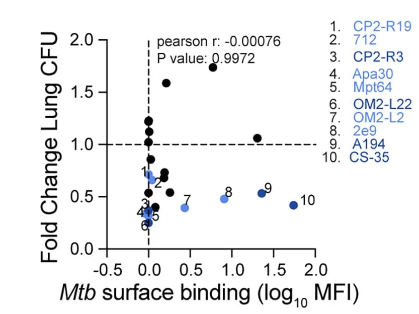 Open access visualization of Scatter Plot, M. tuberculosis, Surface Binding, Lung, Colony-Forming Units