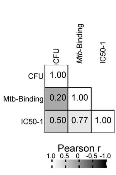 Open access visualization of Heatmap, Pearson Correlation, LAM Binding, Monoclonal Antibodies, M. tuberculosis