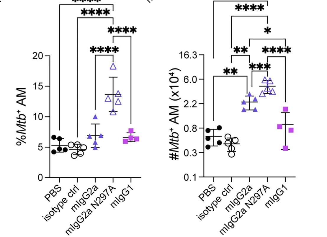 Open access visualization of Scatter Plot, Error Bars, Mtb+AMs, Percentage, Number