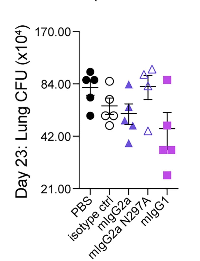 Open access visualization of Scatter Plot, Error Bars, Lung, CFUs, Fc Variant
